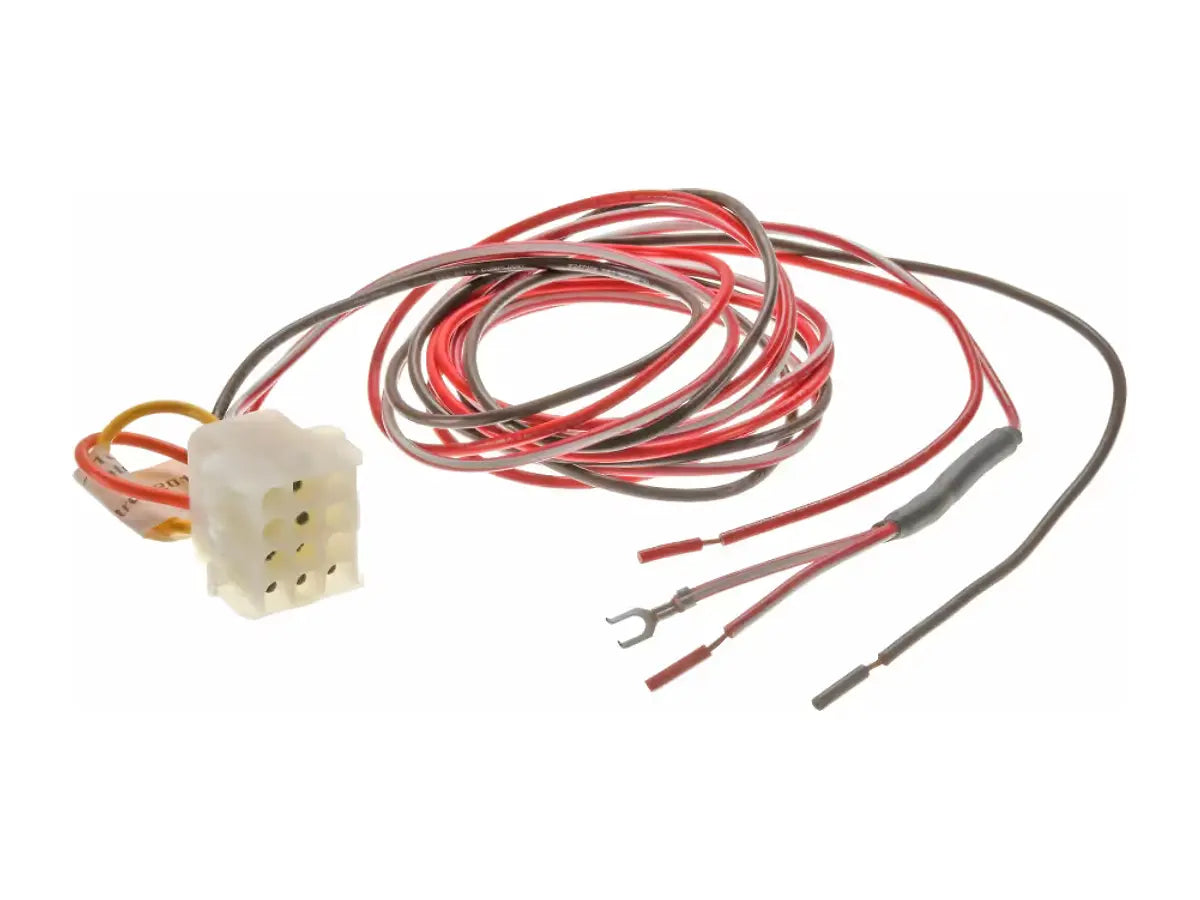 Rheem 45-101998-05, Wire Harness Assembly