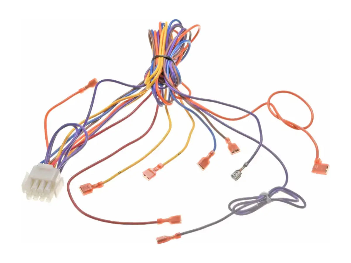 Rheem 45-102393-04, Wiring Harness