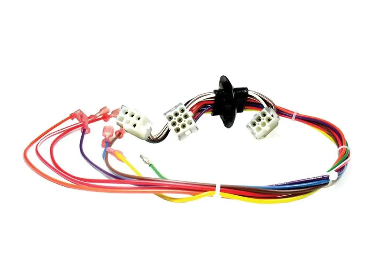 Rheem 45-102689-01, Wiring Harness