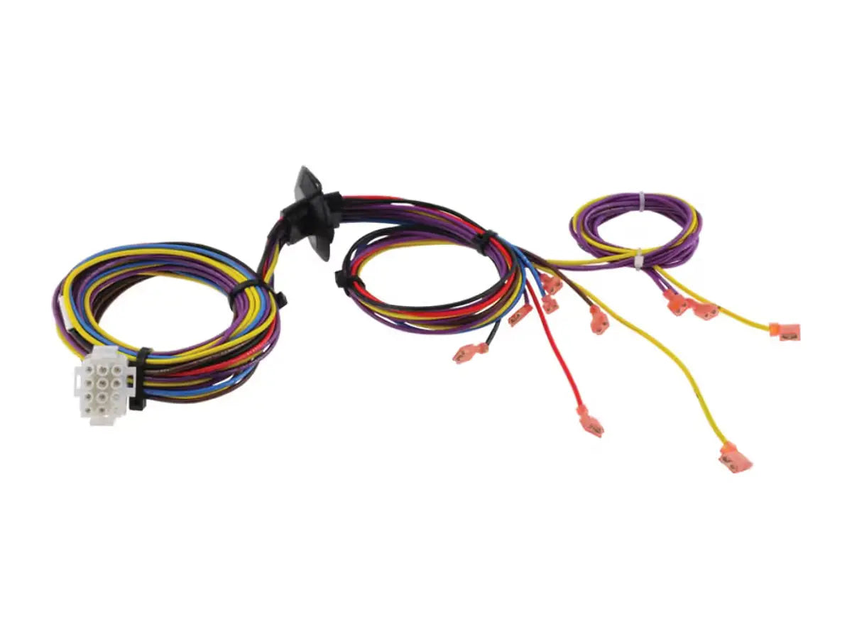 Rheem 45-102706-10, Wiring Harness