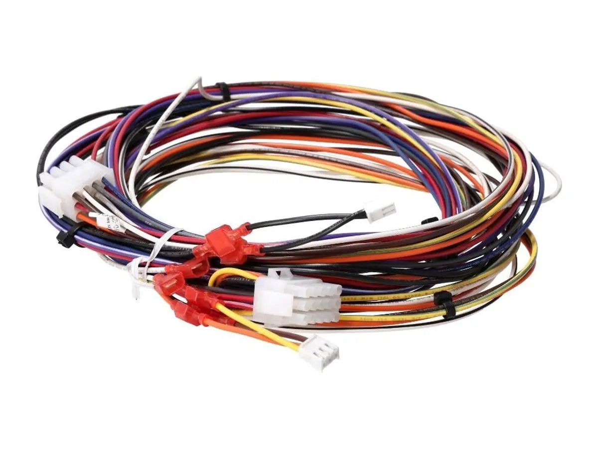 Rheem 45-102706-31, Wire Harness - Economizer