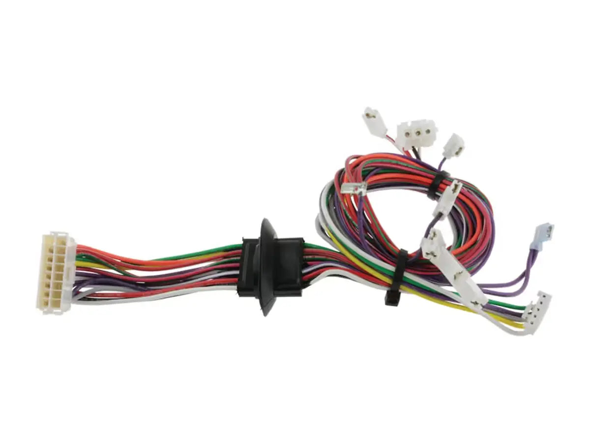 Rheem 45-102786-01, Wiring Harness