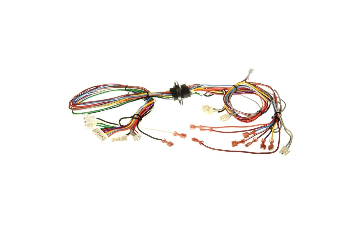 Rheem 45-104090-01, Wiring Harness Assembly