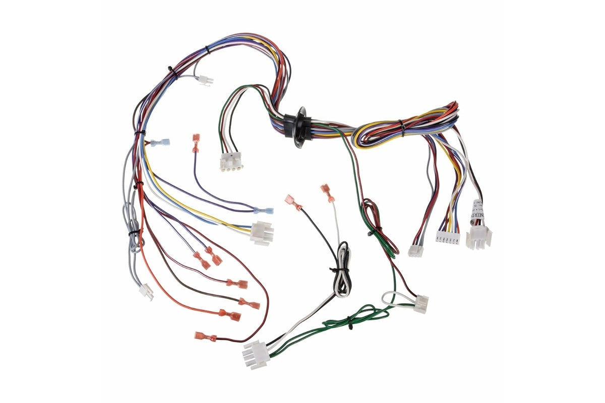 Rheem 45-104202-01, Wiring Harness Assembly