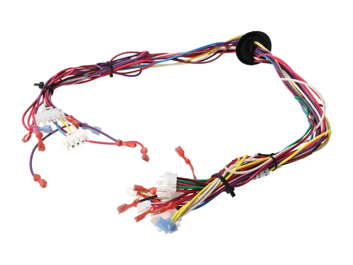 Rheem 45-104932-04, Wiring Harness