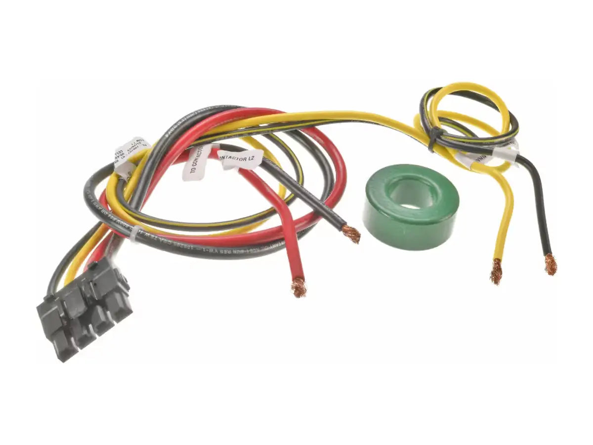 Rheem 45-108707-01, Wire Assembly