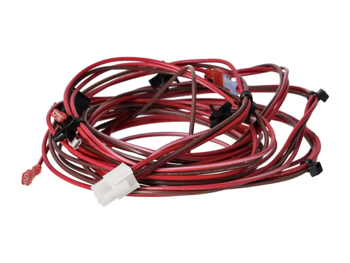 Rheem 45-109867-06, Wiring Harness