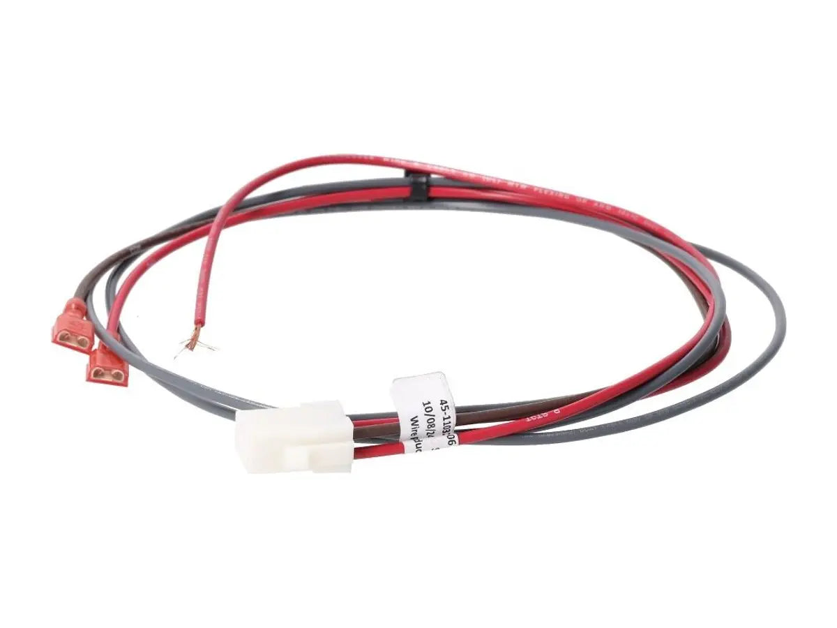 Rheem 45-110324-06, Wiring Harness