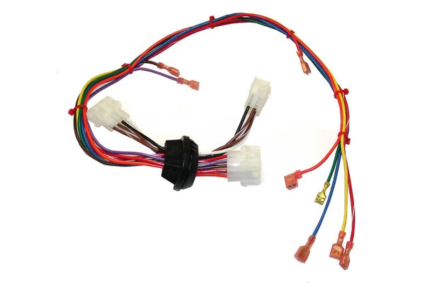 Rheem 45-24090-05 Wiring Harness