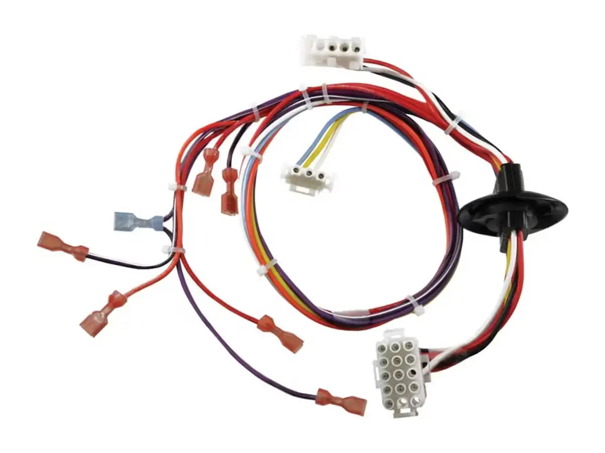 Rheem 45-24393-08, Wiring Harness