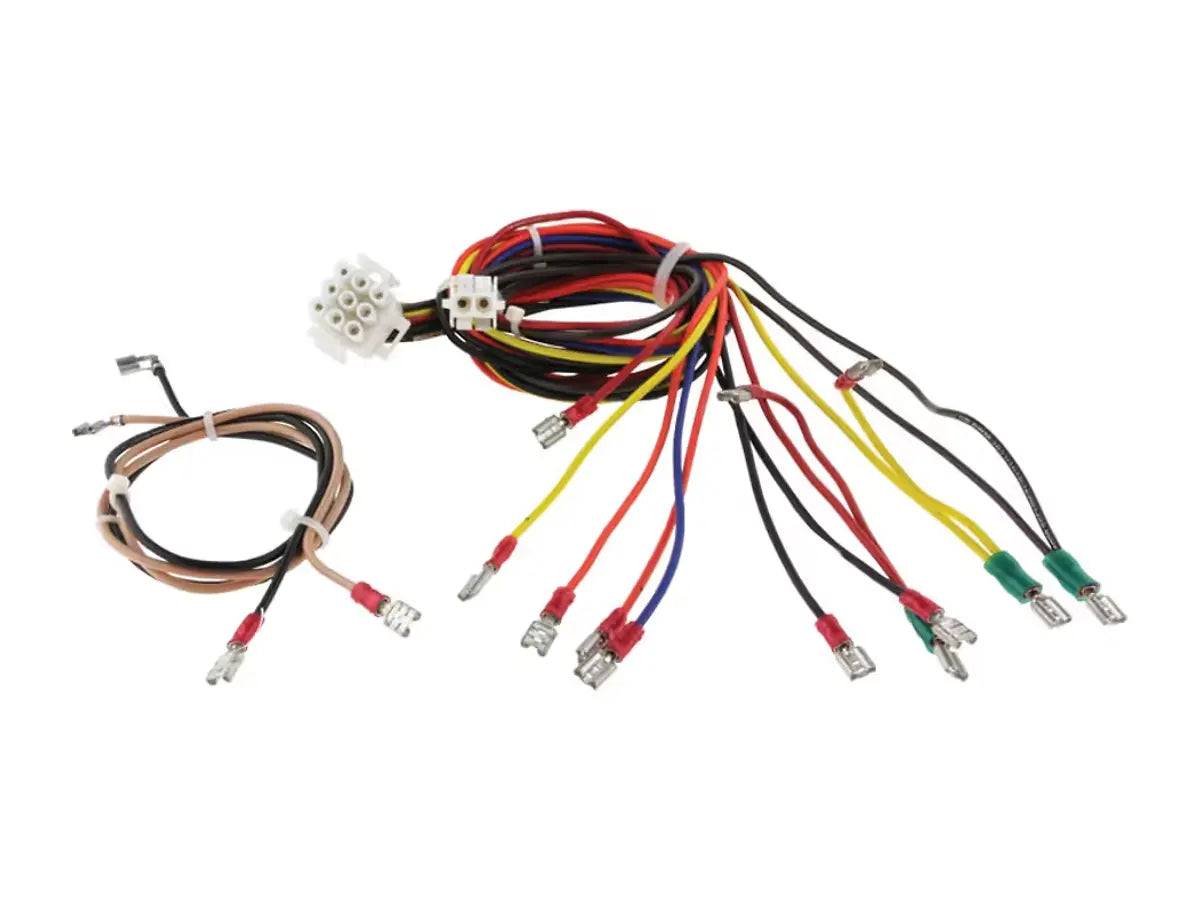 Rheem 45-26262-53, Wiring Harness