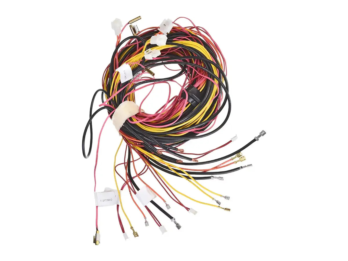 Rheem 45-42522-113, Wiring Harness