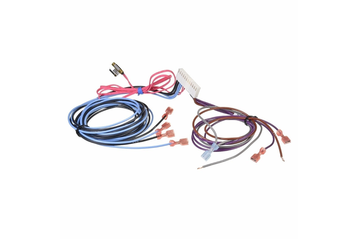 Rheem 45-42522-115 Wiring Harness