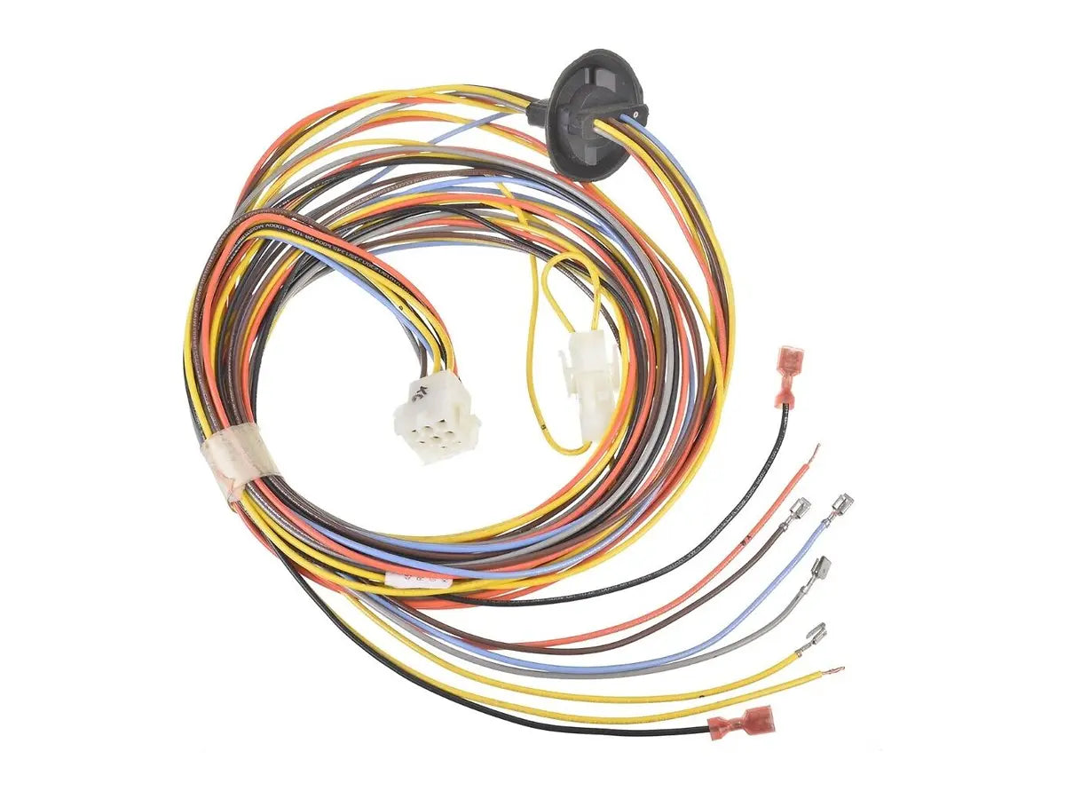 Rheem 45-42522-116, Wiring Harness, Economizer