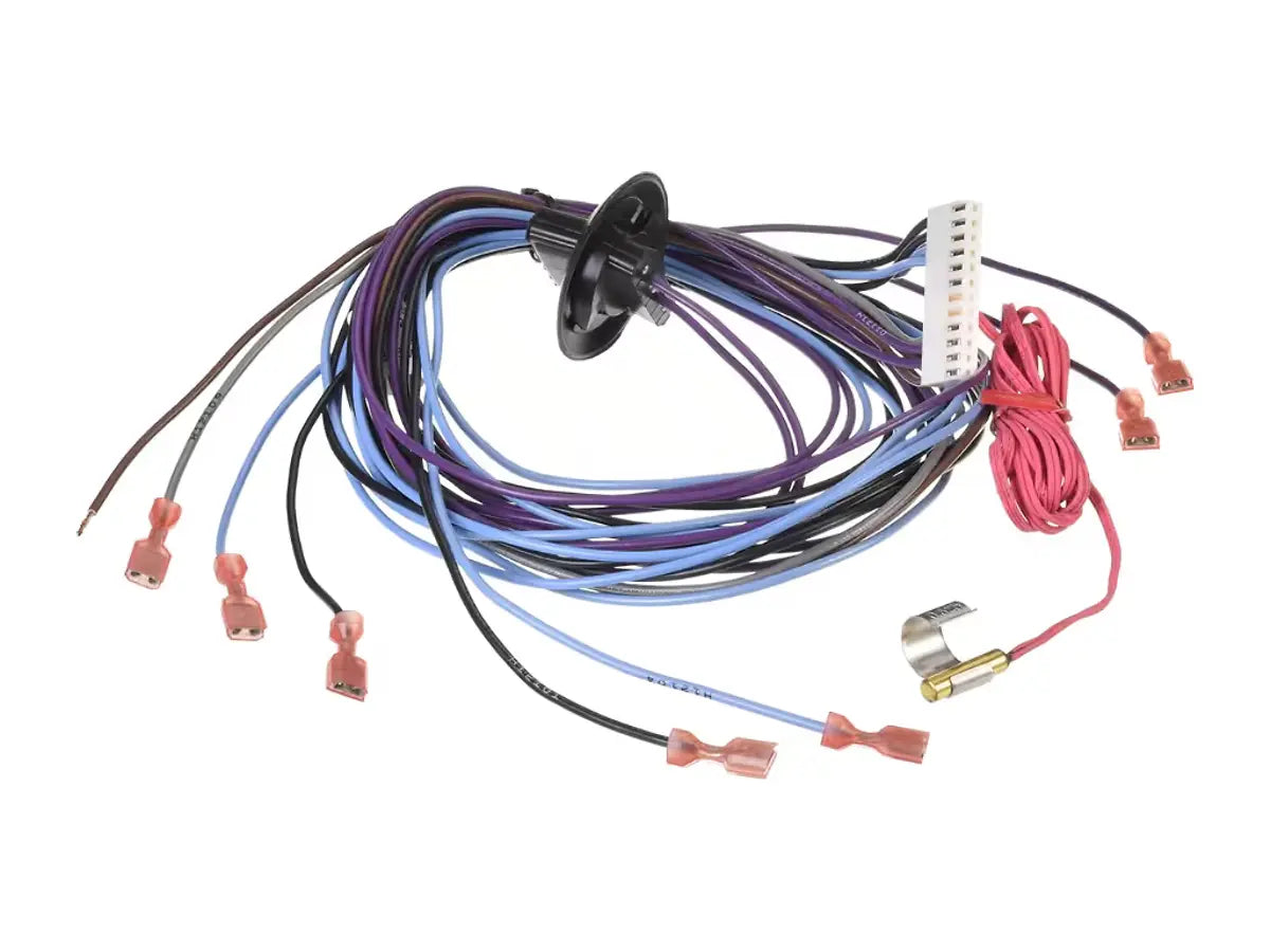 Rheem 45-42522-121, Wiring Harness