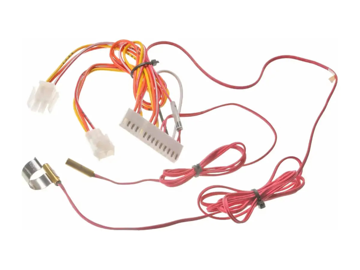 Rheem 45-42522-163, Wire Harness - Compressor