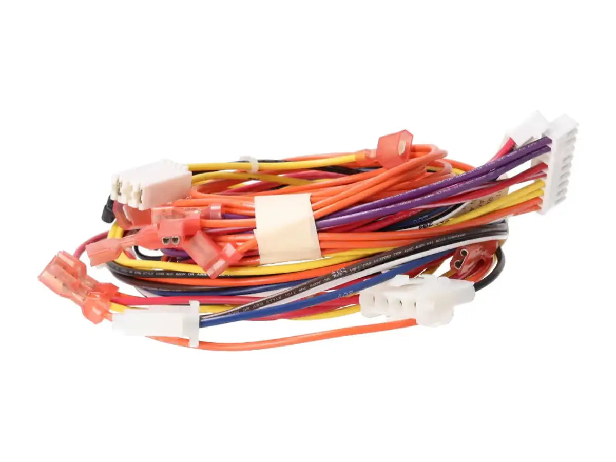Rheem 45-42522-169, Wiring Harness