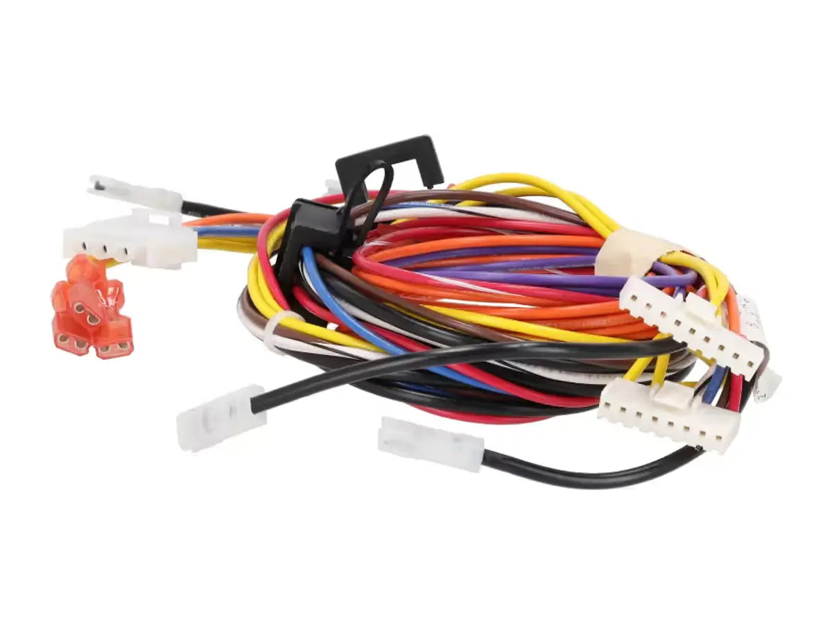 Rheem 45-42522-171, Wiring Harness