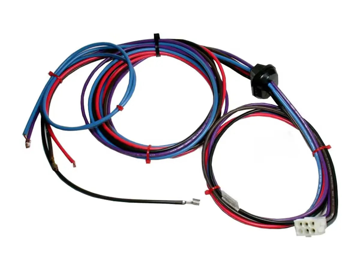Rheem 45-42522-17, Wiring Harness