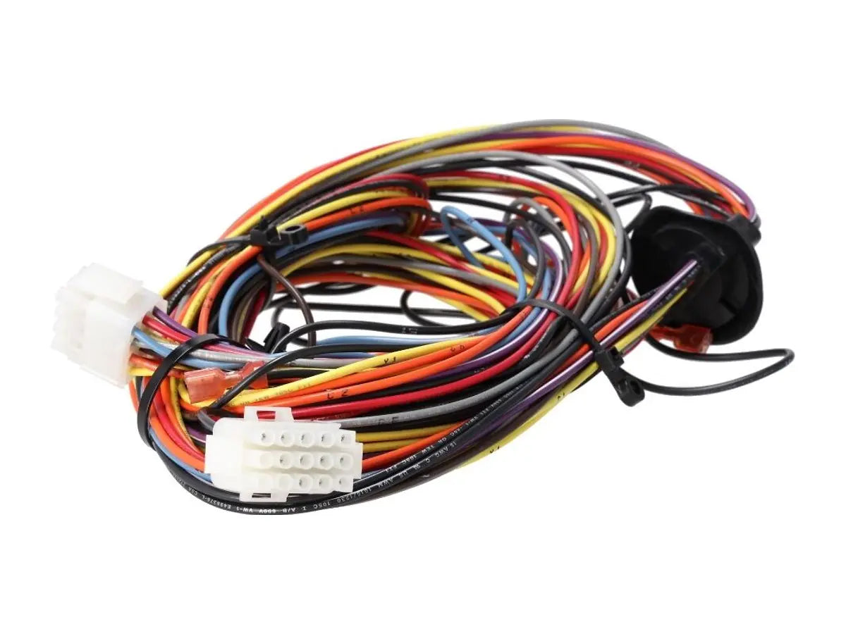 Rheem 45-42522-216, Wiring Harness