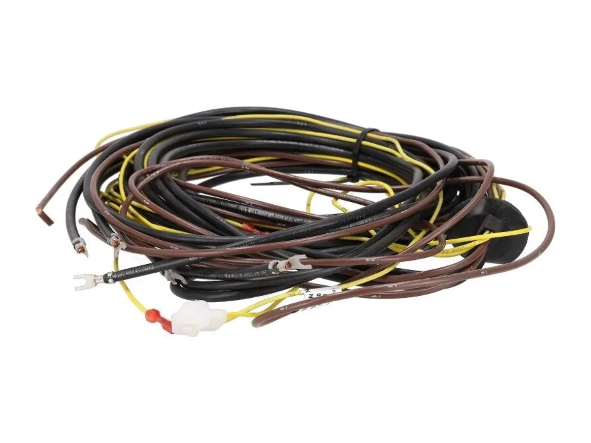 Rheem 45-42522-218, Wiring Harness