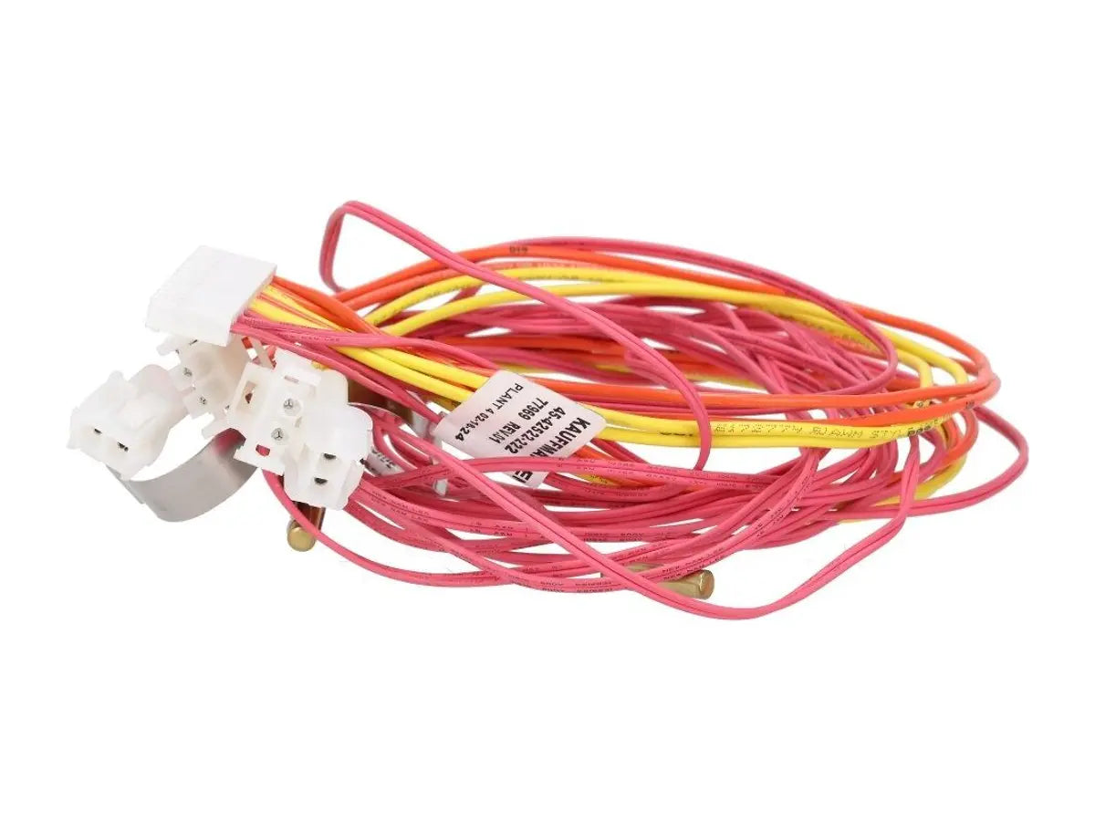 Rheem 45-42522-222, Wiring Harness