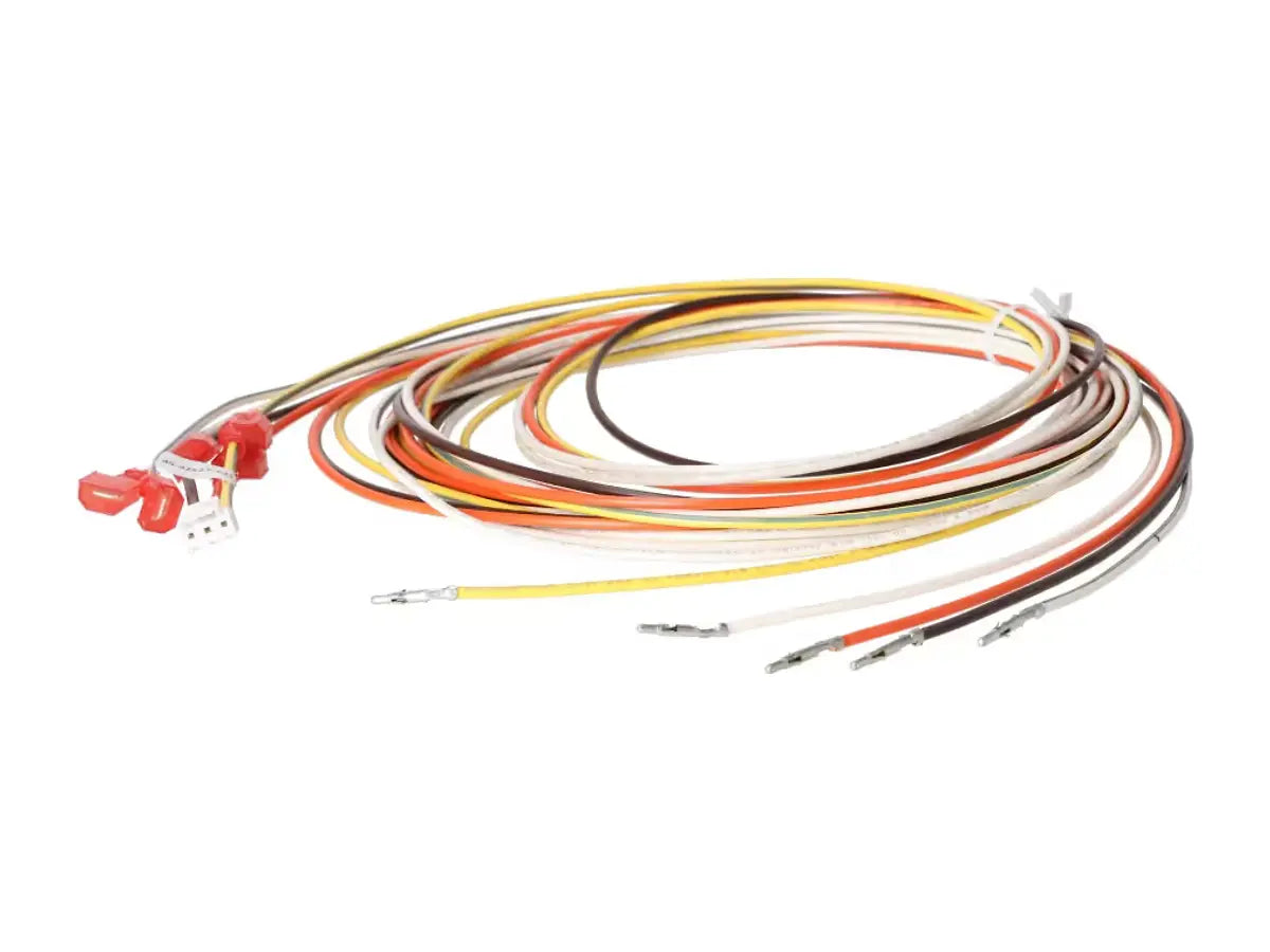 Rheem 45-42522-237, Wiring Harness