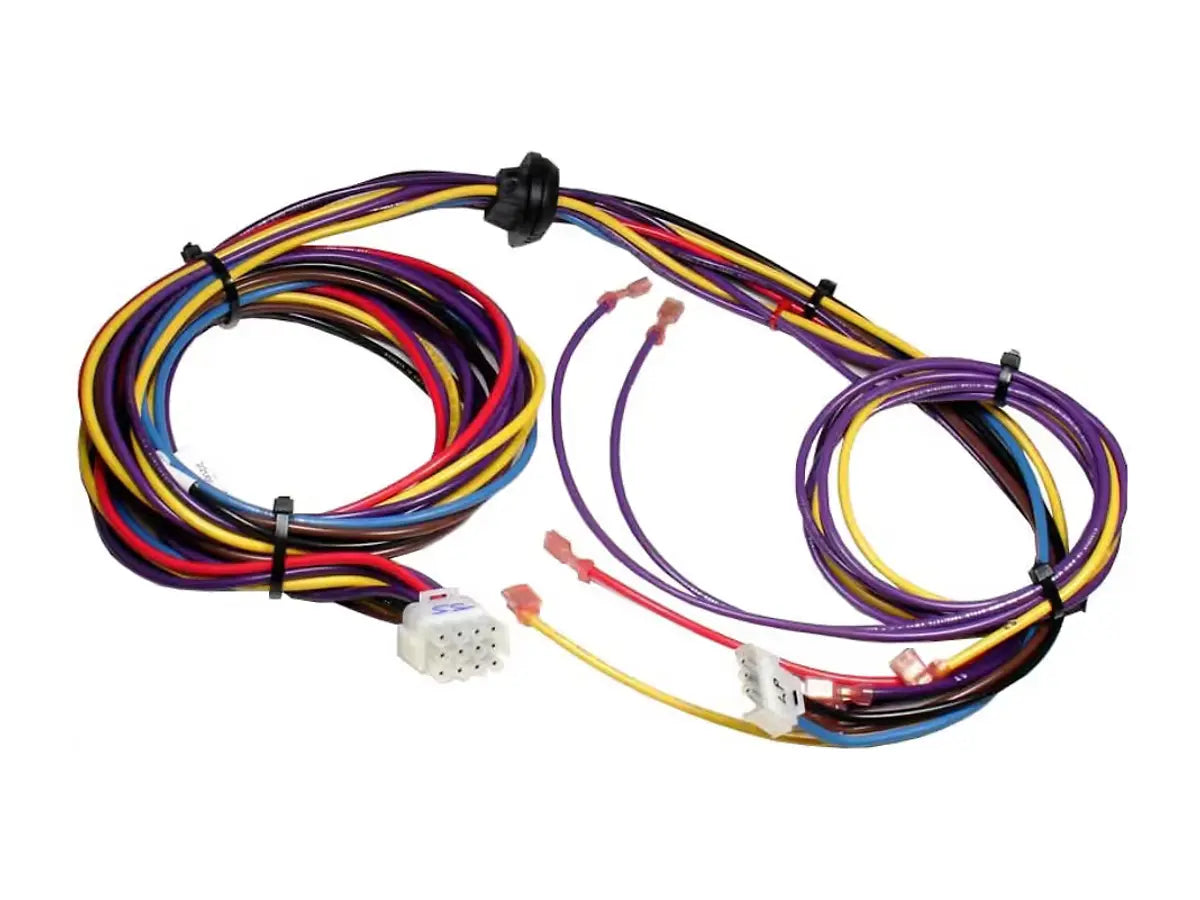 Rheem 45-42522-23, Wiring Harness