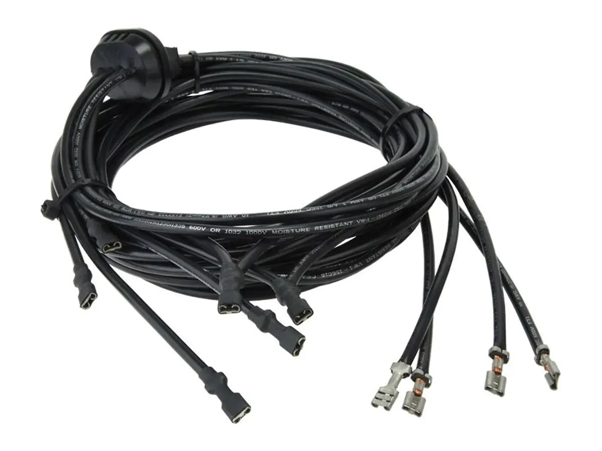 Rheem 45-42522-38, Wiring Harness