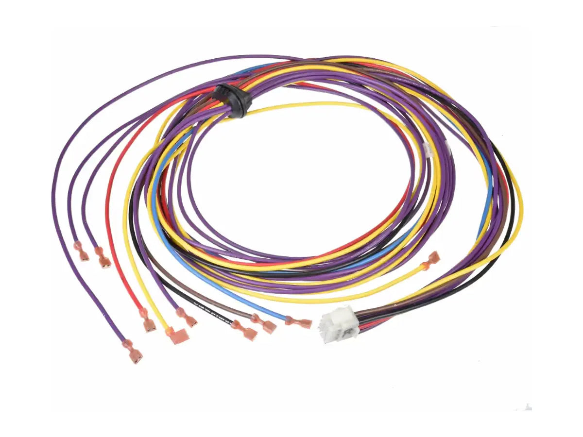Rheem 45-42522-44, Wiring Harness