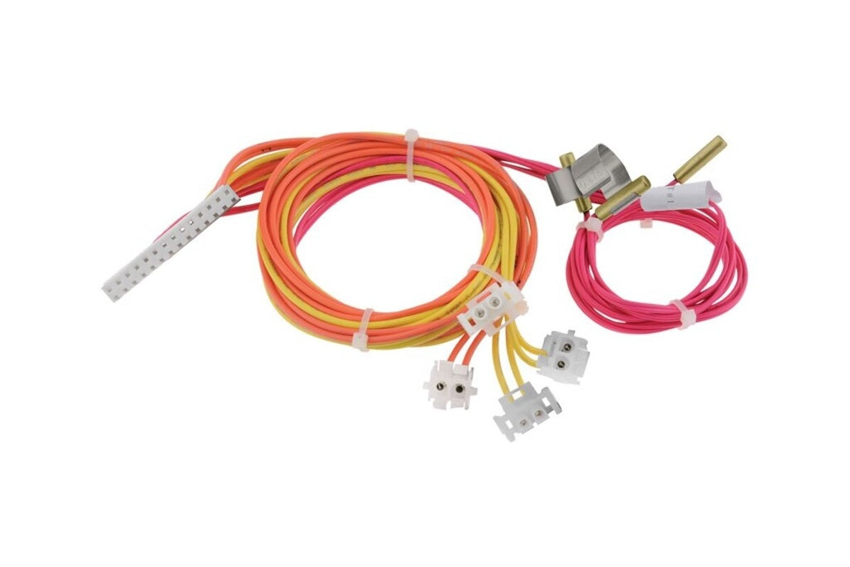 Rheem 45-42522-99 Wiring Harness