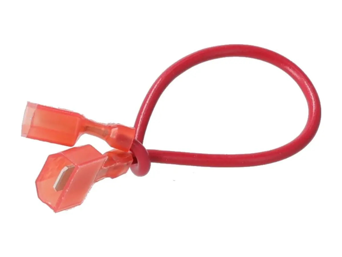 Rheem 45-50202-09-22, Wire - 18 Ga Red 6" 1/4"