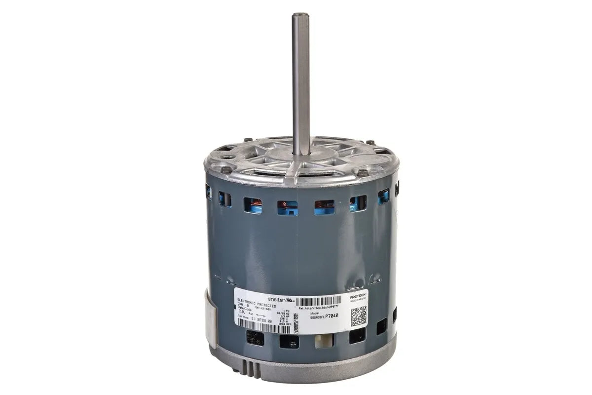 Rheem 51-107391-02 ENSITE PLUS Motor, 120V, 1/2 HP