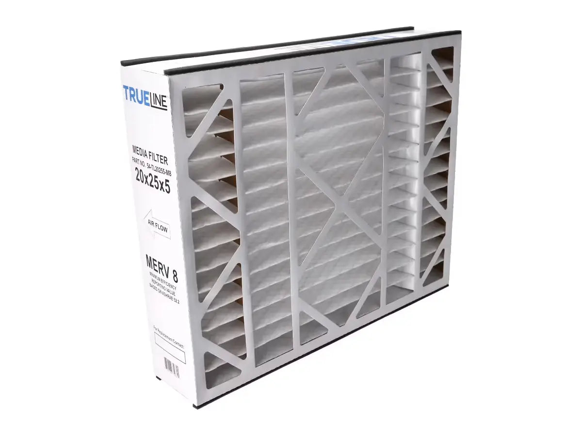 Rheem 54-TL20255-M8, 5X20X25 Filter