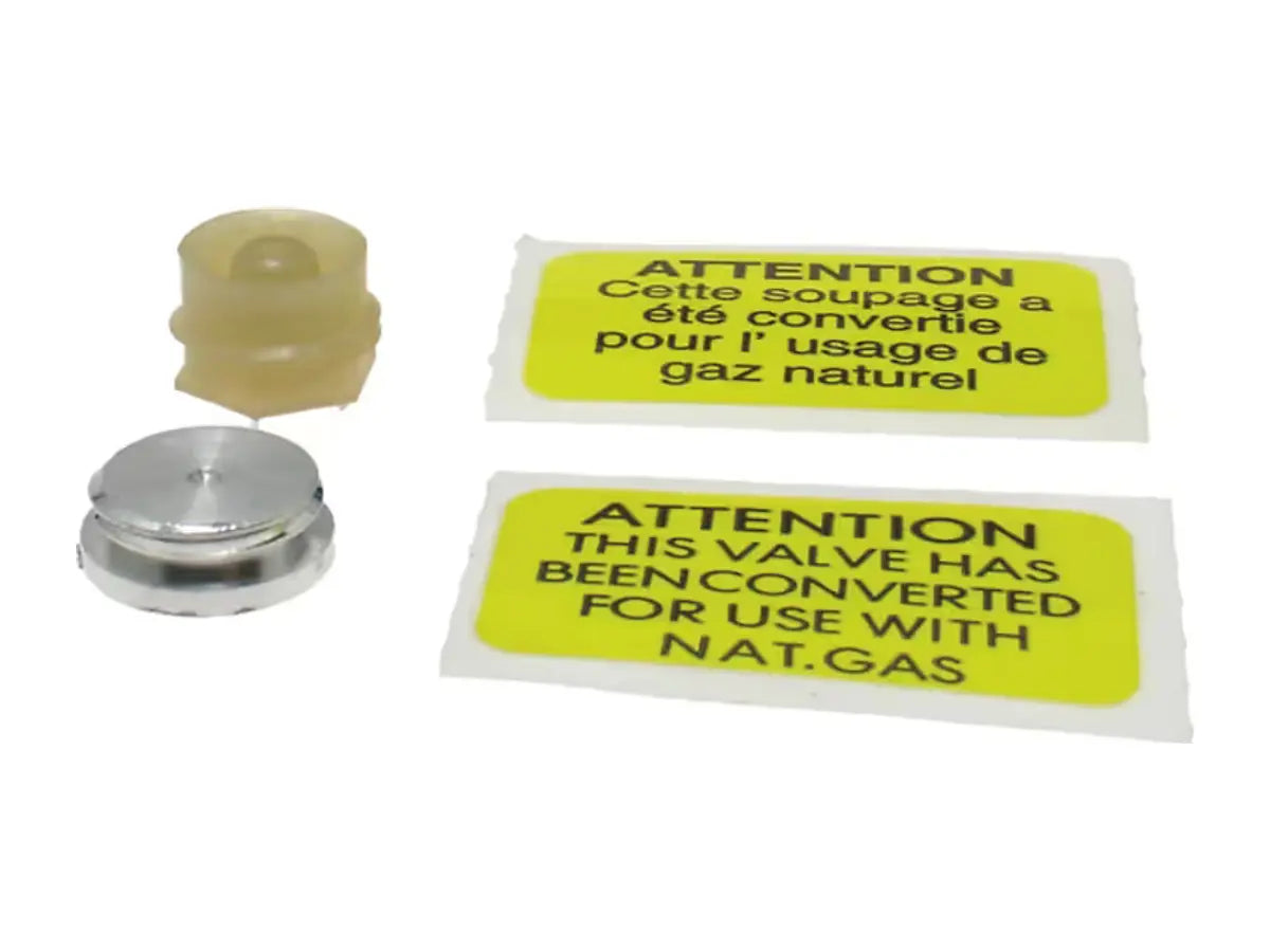 Rheem 60-21390-02, Gas Valve Spring Kit