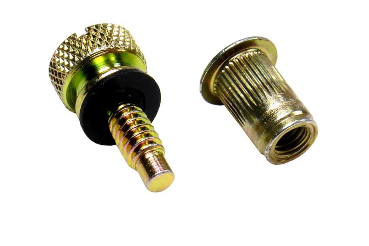 Rheem 64-24081-81 Door Insert and Thumbscrew Kit
