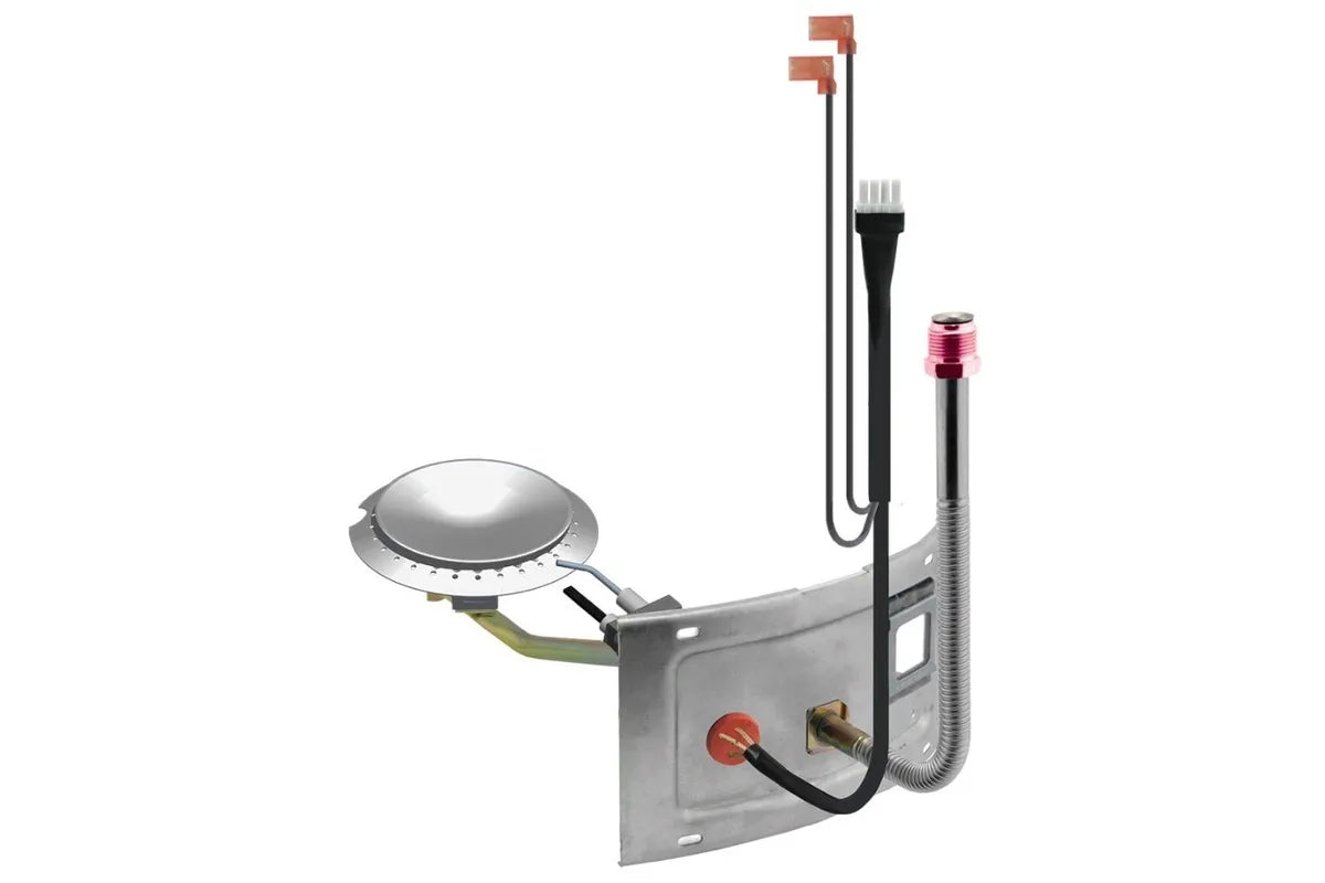 Rheem AM42349 High-Efficiency Burner Assembly