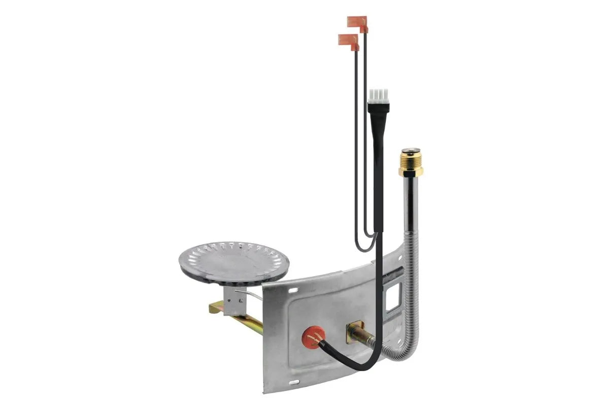 Rheem AM42353 High-Efficiency Burner Assembly