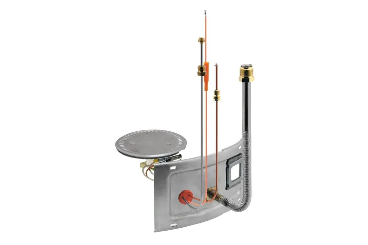 Rheem AM43918 Natural Gas Burner Assembly