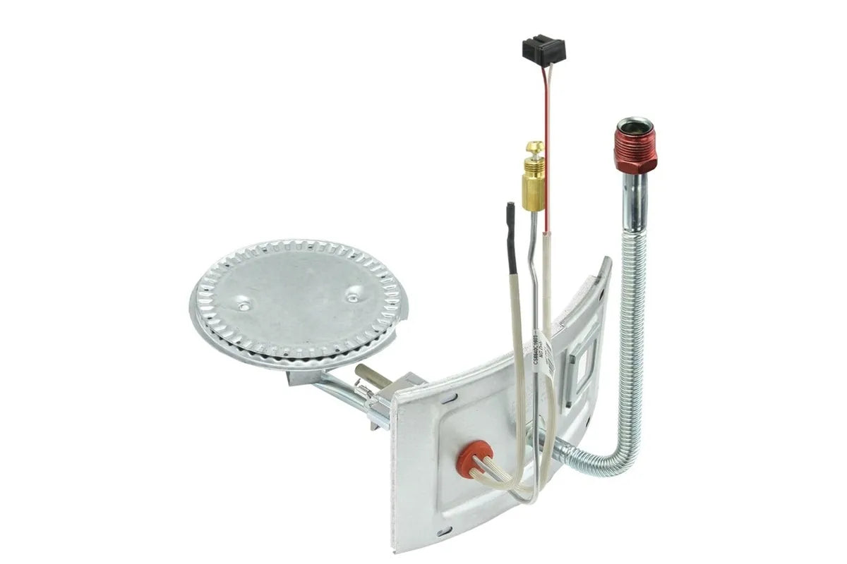 Rheem AM45384 Natural Gas Burner Assembly