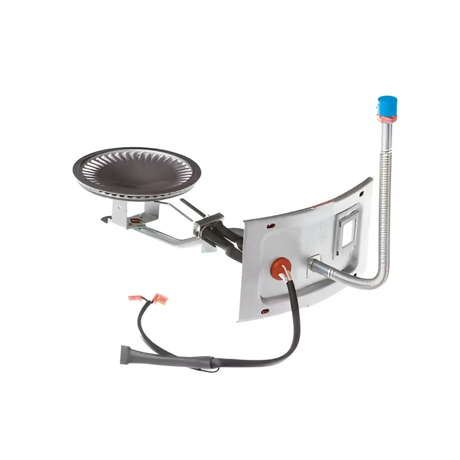 Rheem AM45576 22 Inch Door Burner Assembly