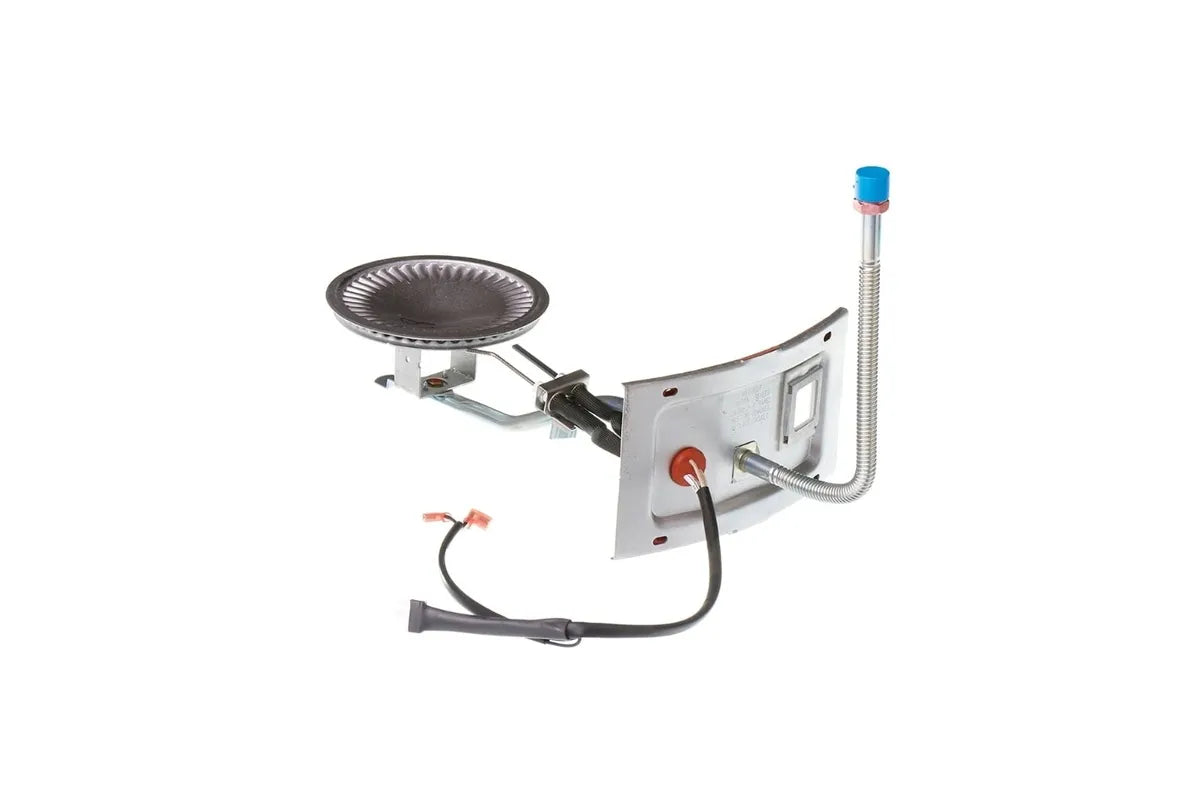 Rheem AM45576 22 Inch Door Burner Assembly