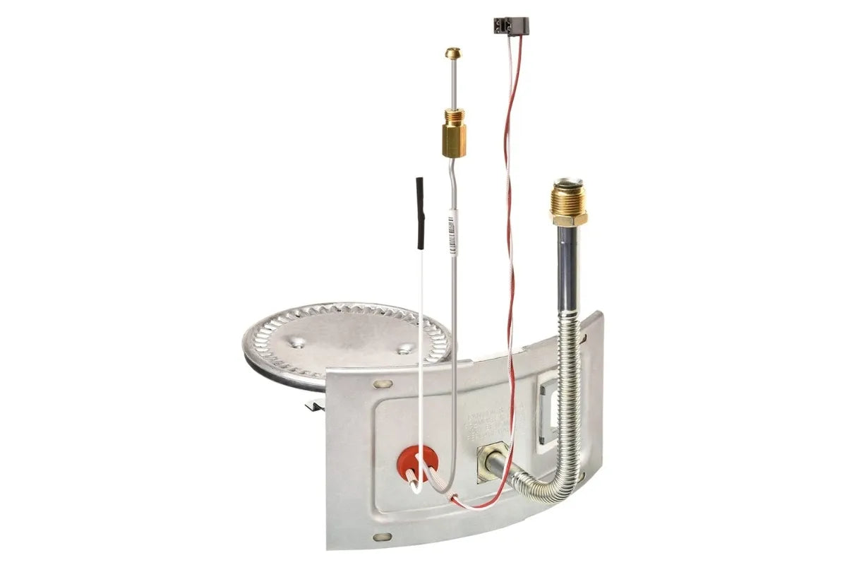 Rheem AM46739 Natural Gas Burner Assembly