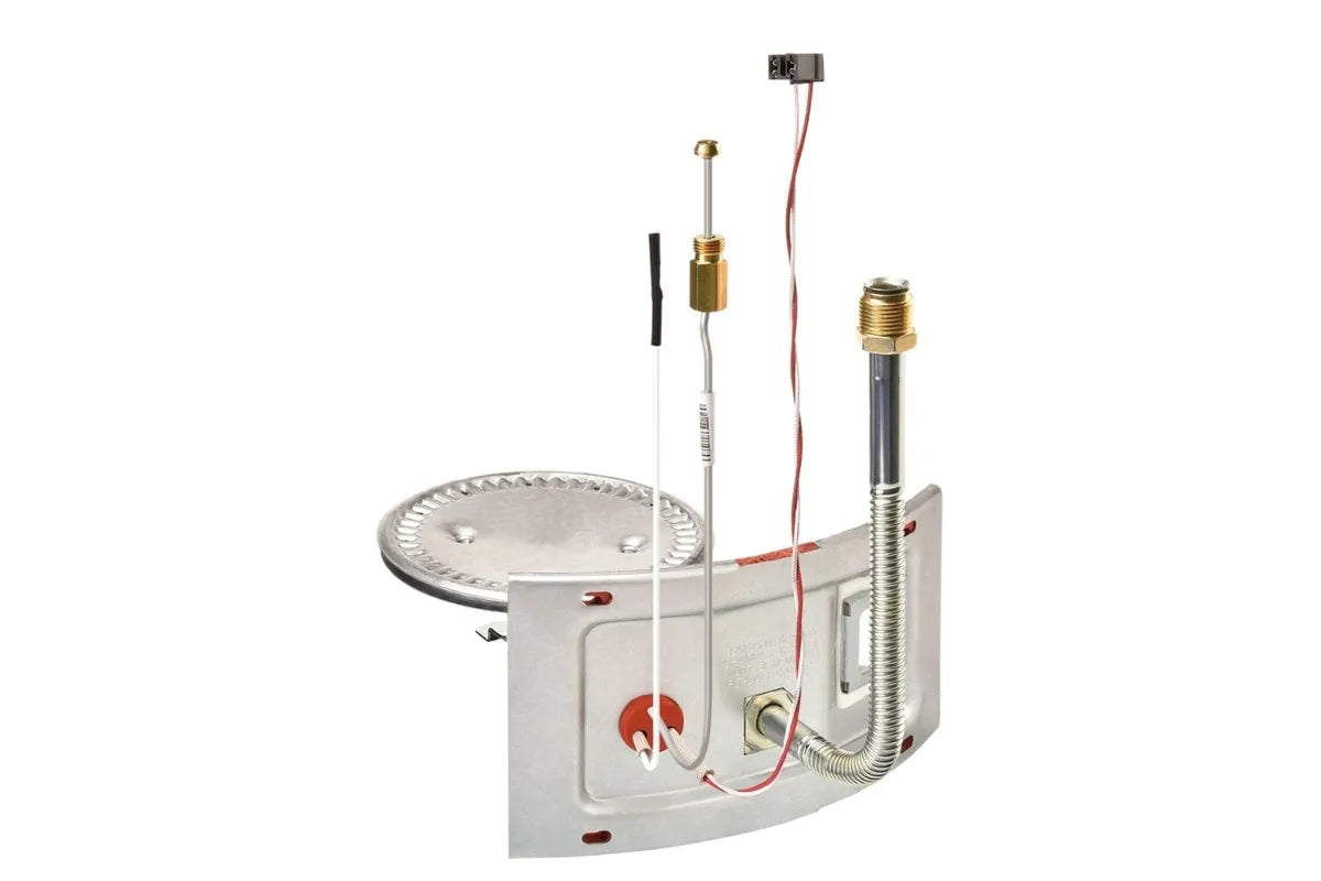 Rheem AM46745 High-Efficiency Burner Assembly