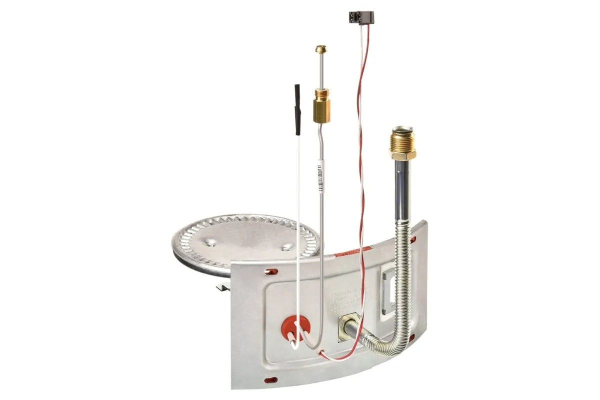 Rheem AM46747 Natural Gas Burner Assembly