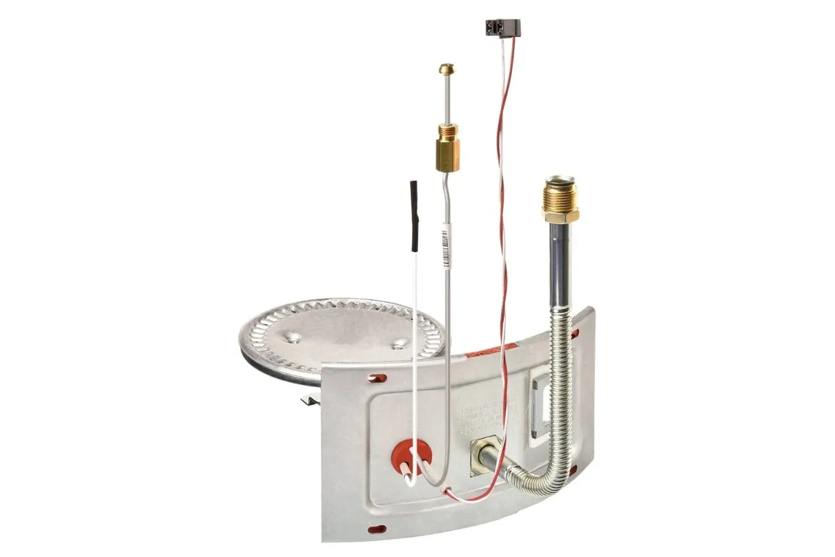Rheem AM46749 High-Efficiency Burner Assembly