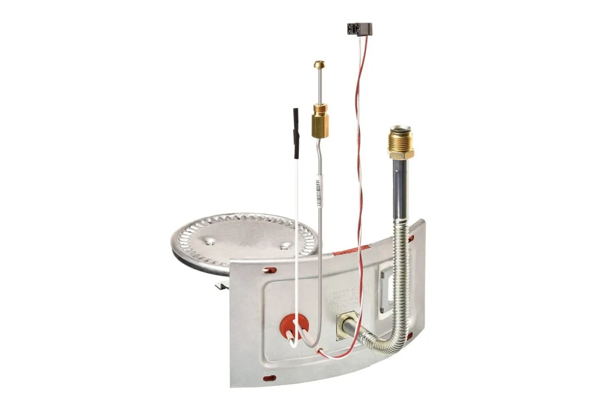 Rheem AM46751 Natural Gas Burner Assembly
