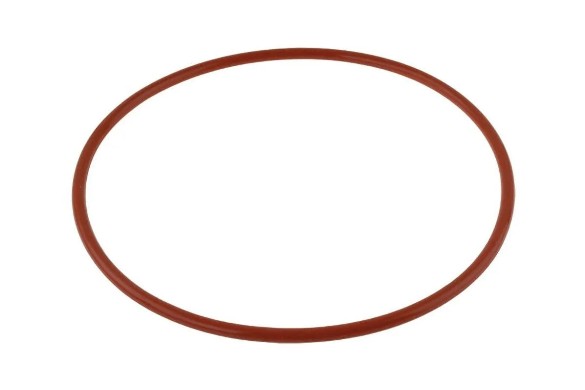 Rheem AP14858 Burner Plate O-Ring