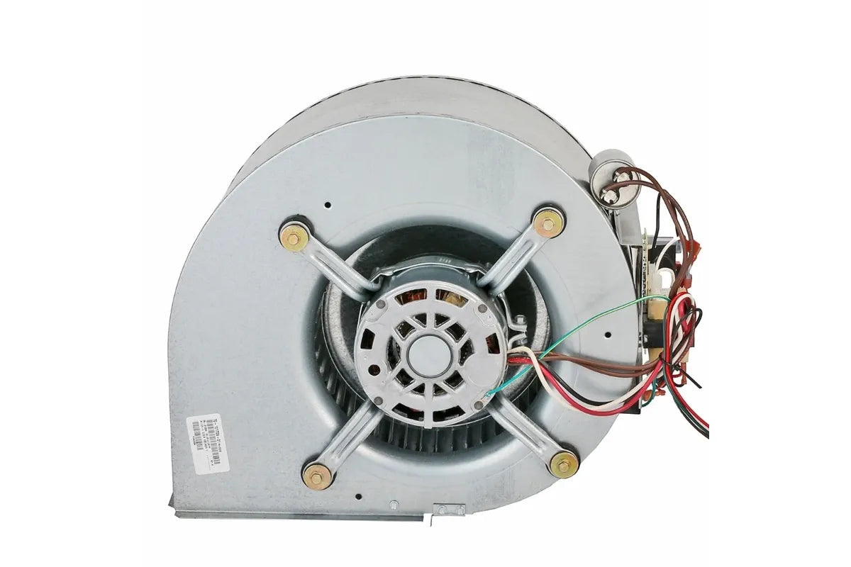 Rheem AS-101929-02 High-Efficiency Blower Assembly