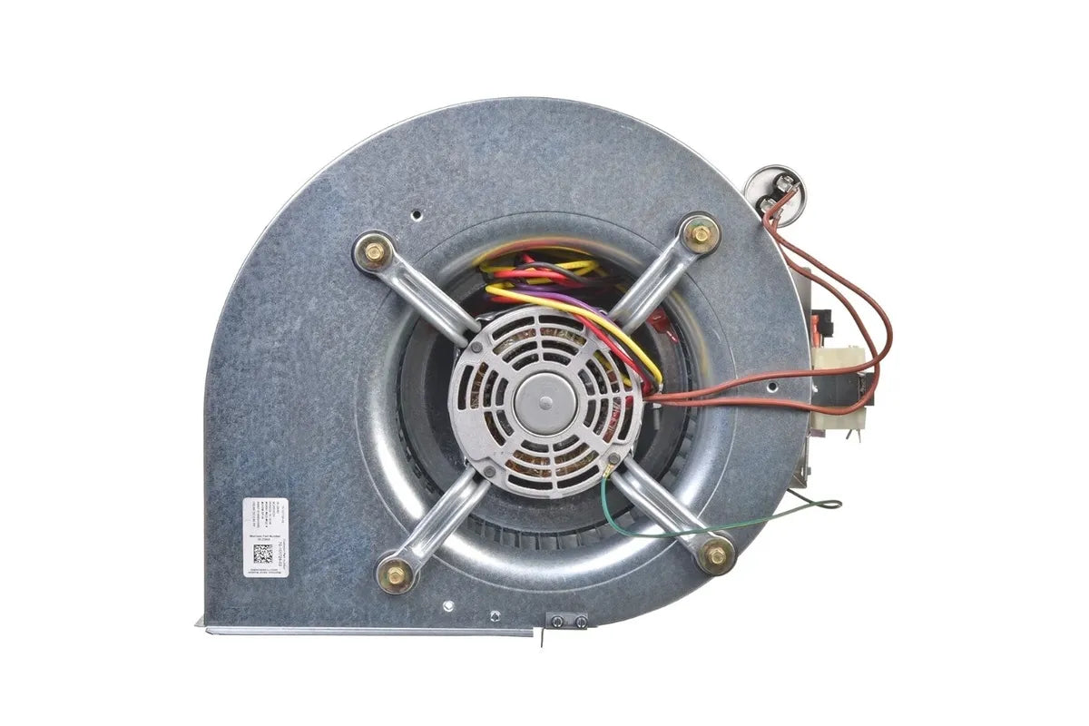 Rheem AS-101931-03 High-Efficiency Blower Assembly